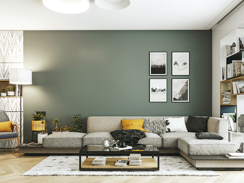 内墙艺术漆项目