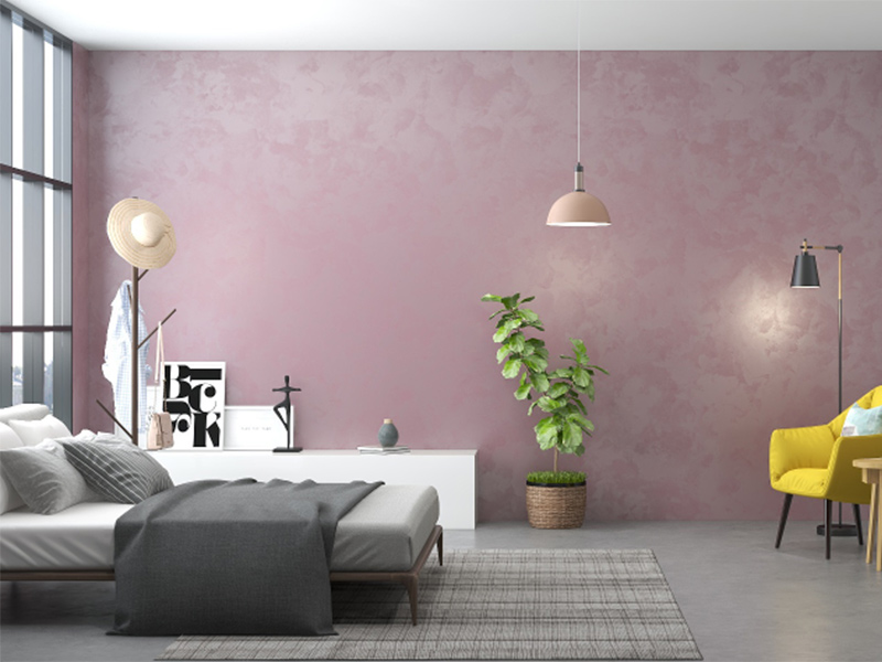 内墙艺术漆项目