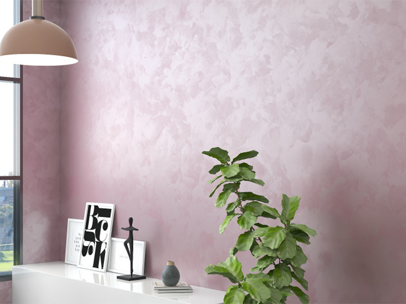 内墙艺术漆项目