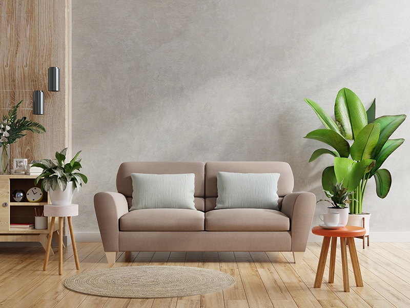 内墙艺术漆项目